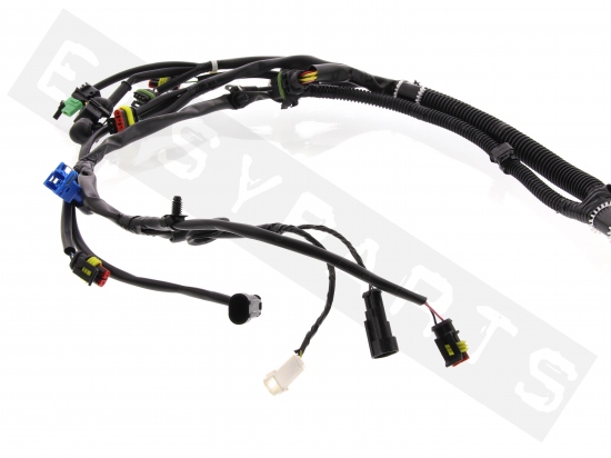 Piaggio Wiring Harness Of Chassis